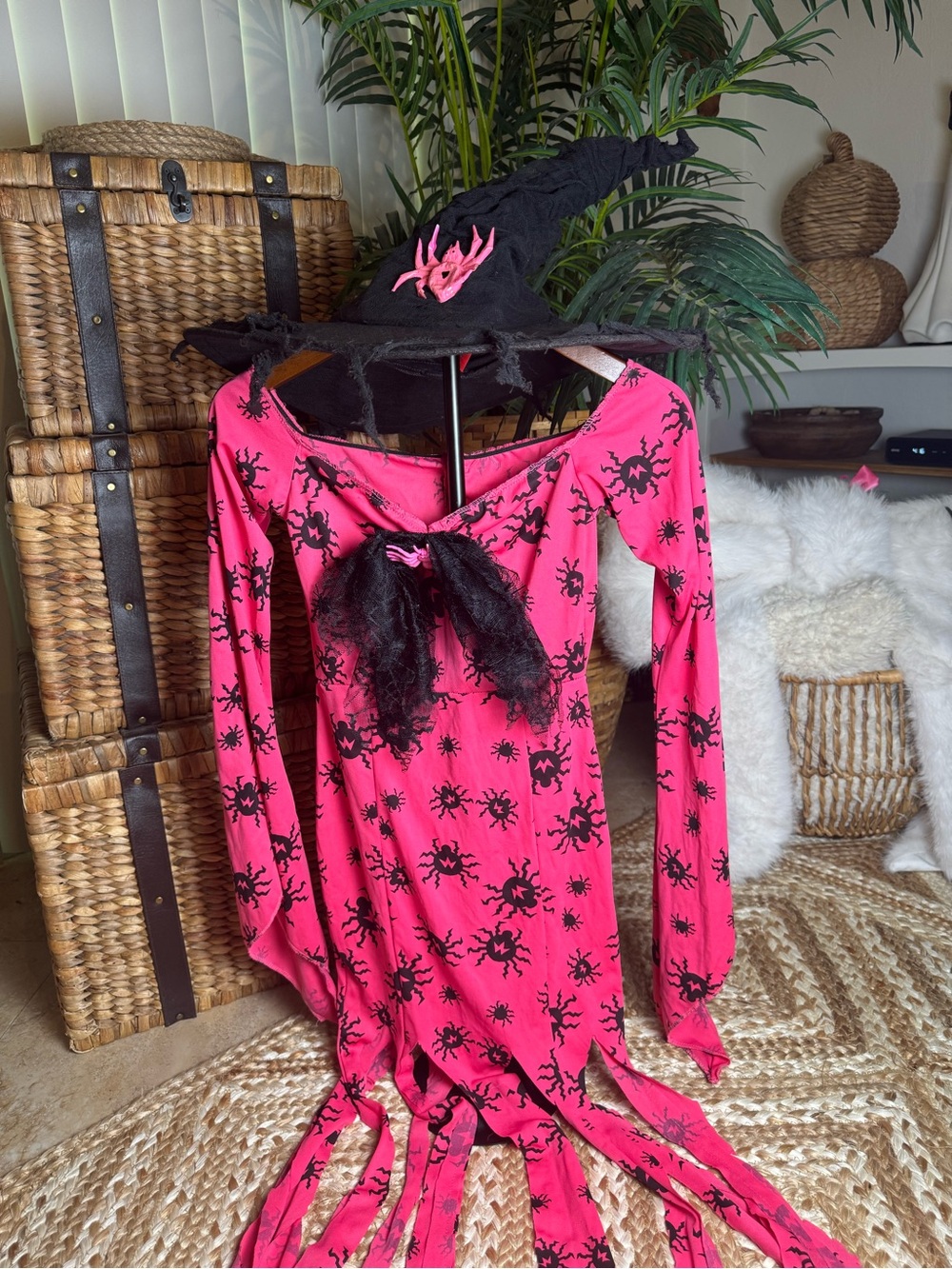Spider witch dress and hat
